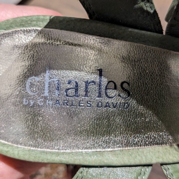 Charles by Charles David Green Platform Sandals Shoes & Matching Clutch Set - Picture 8 of 14